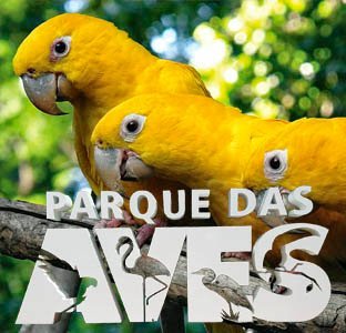 Parque das Aves